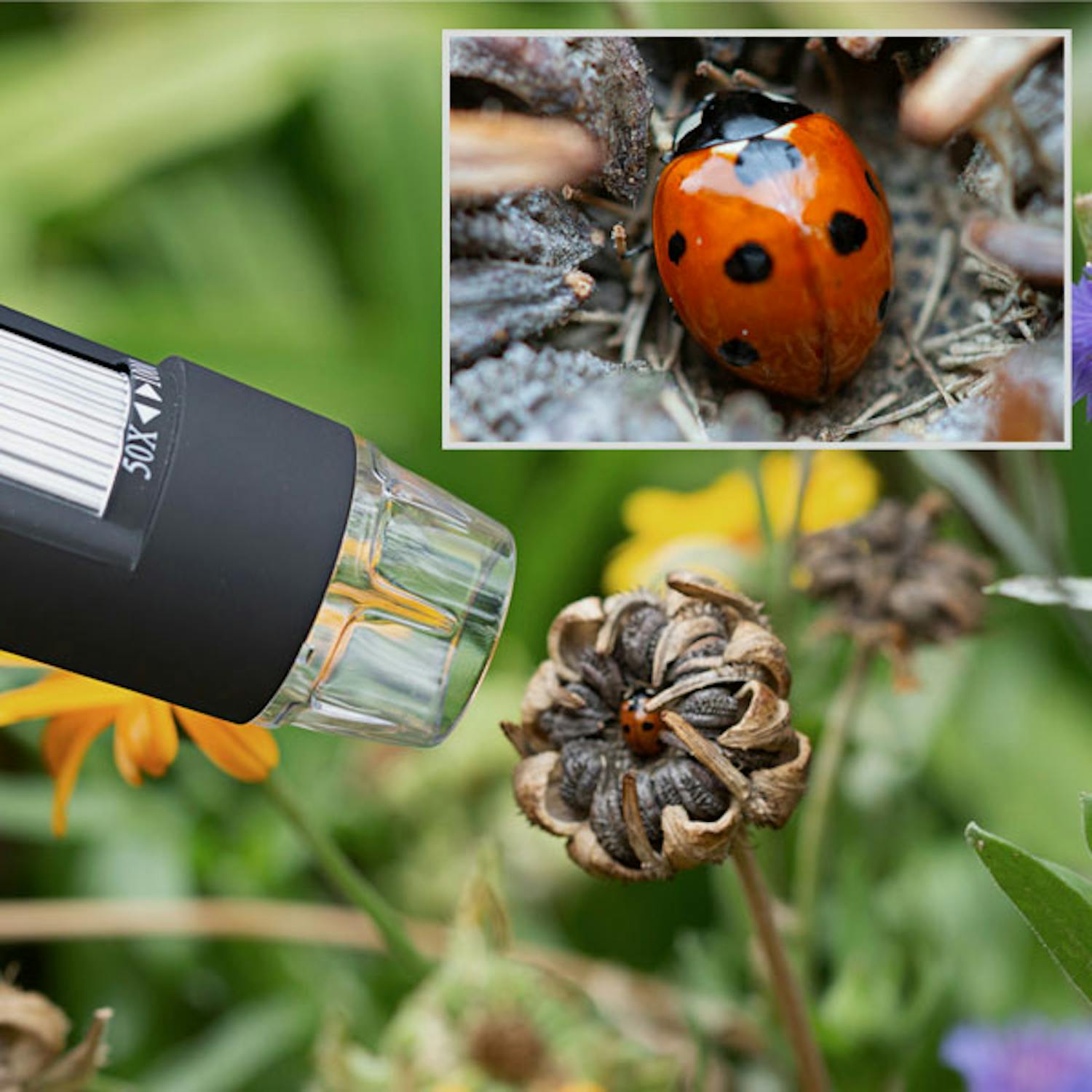 Uusi supermakrokamera